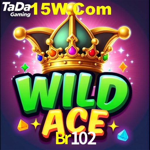 Premium Interface Br102