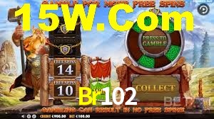 Bonus Features Br102