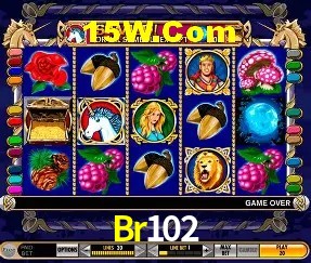 Tecnologia da Plataforma Br102